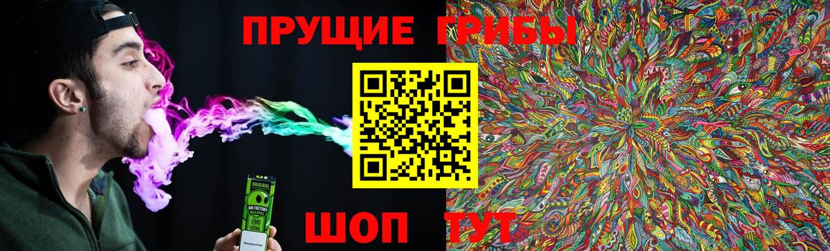 Псилоцибиновые грибы Cubensis Карачаевск